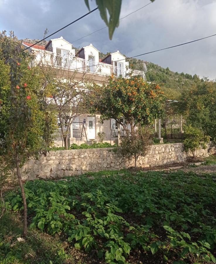 Apartment Lucija With Sea View ดูบรอฟนิก ภายนอก รูปภาพ